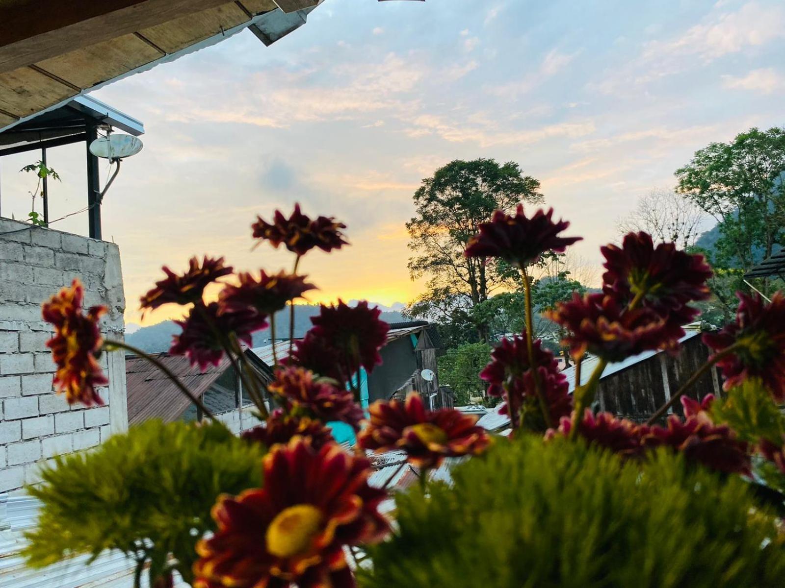 Guayabo Hostal Миндо Экстерьер фото
