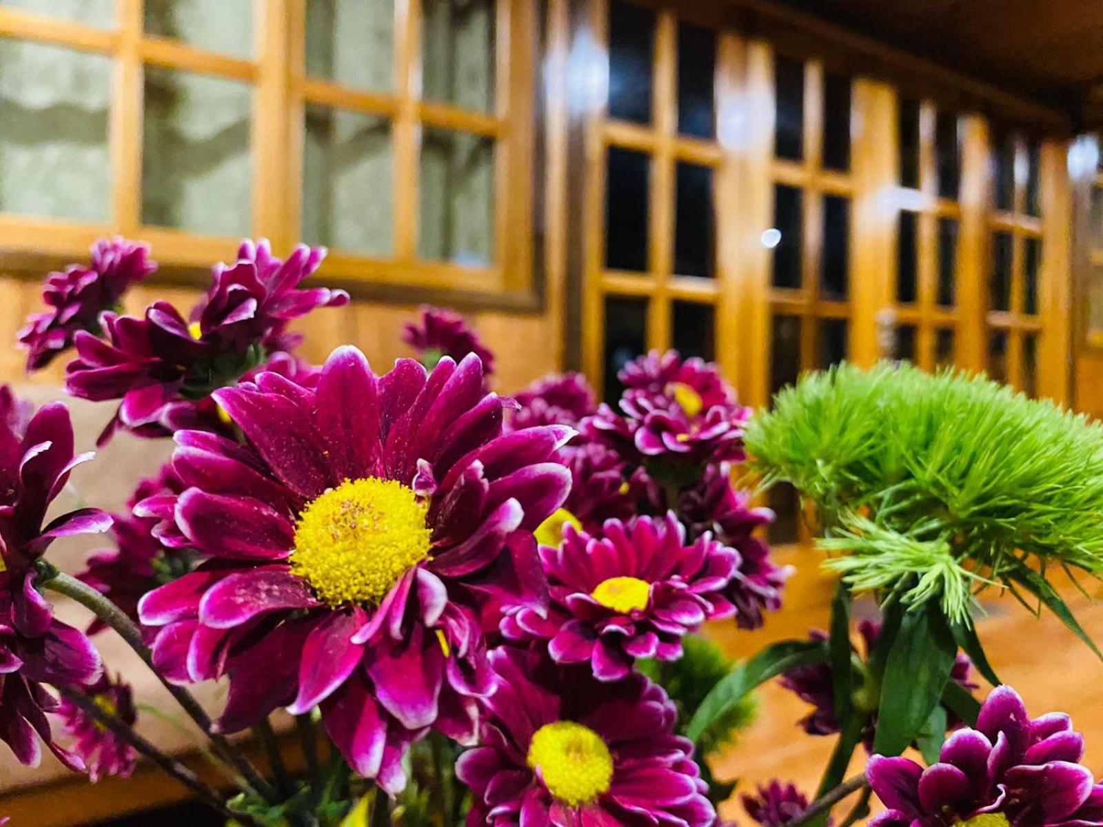 Guayabo Hostal Миндо Экстерьер фото